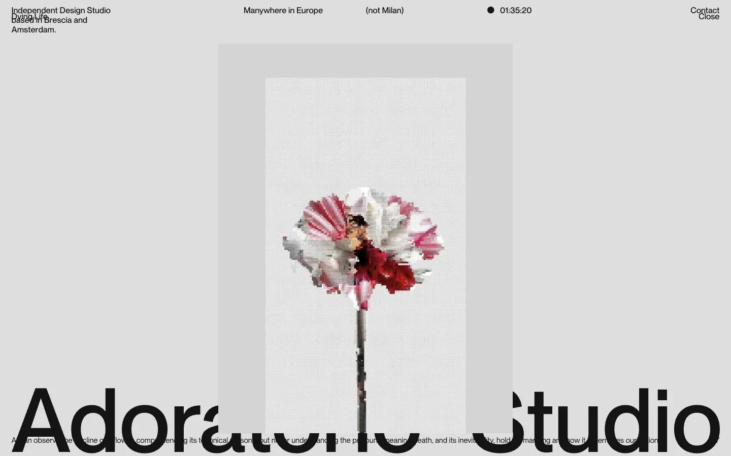 Adoratorio Studio — Landing page