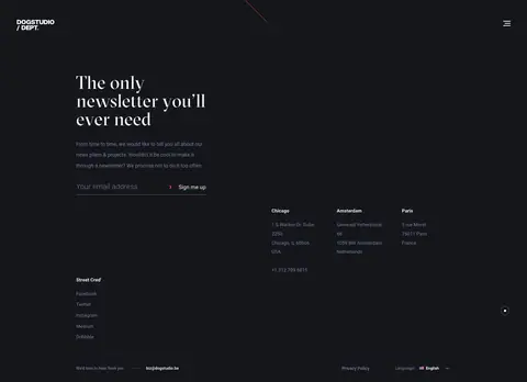 dogstudio.co — Yangiliklar va blog