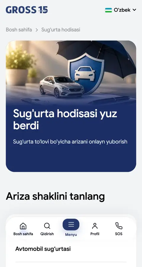 Boshqa