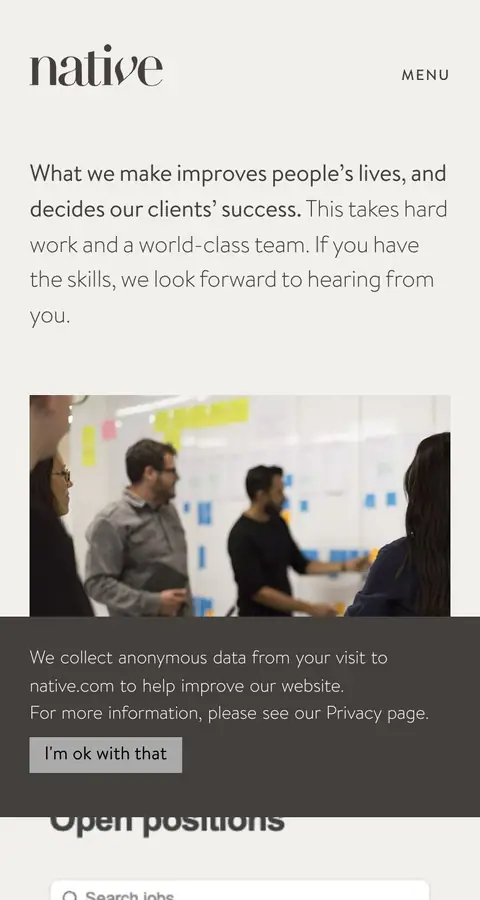 native.com — Vakansiyalar