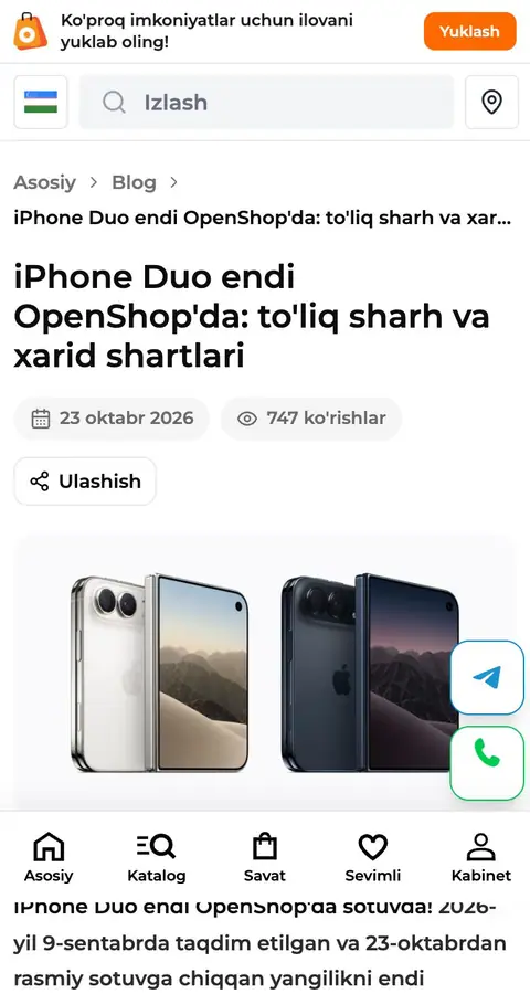 Article