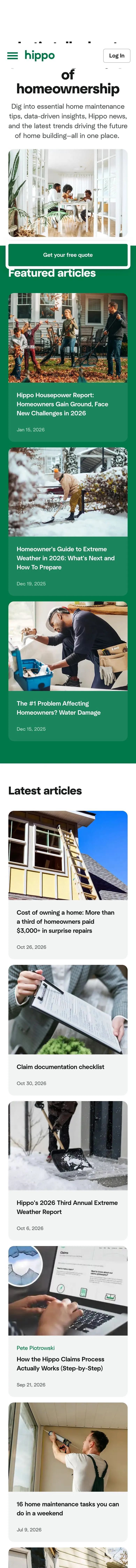hippo.com — Yangiliklar va blog