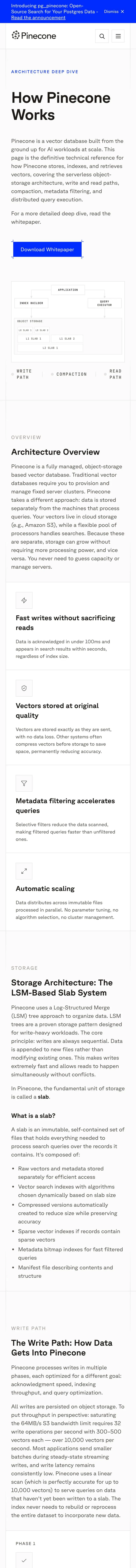 Pinecone — Article