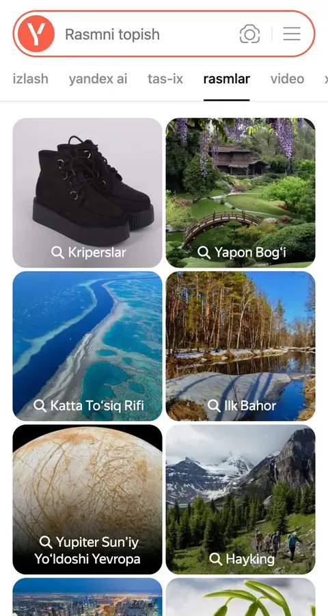 Boshqa
